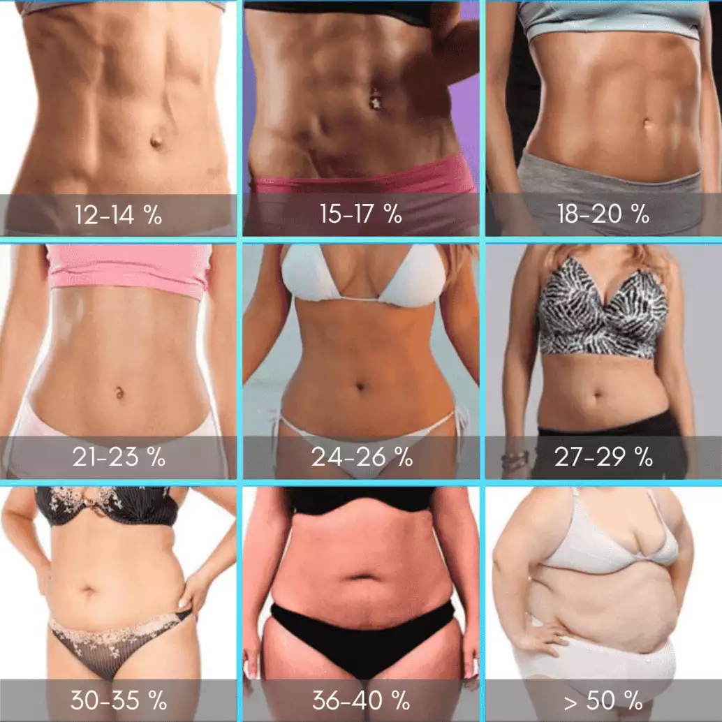 Taux de masse grasse femme