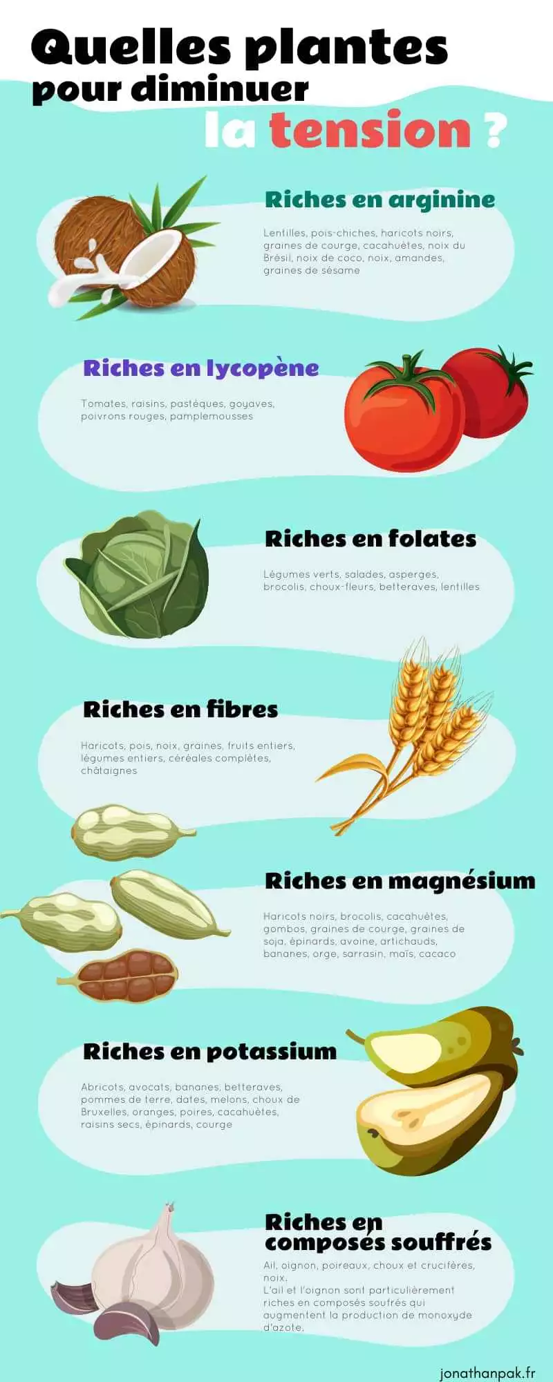 Les plantes bonnes pour diminuer la tension