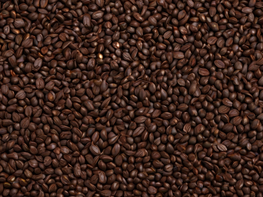 Bière brune-Boissons alcoolisées, valeurs nutritionnelles