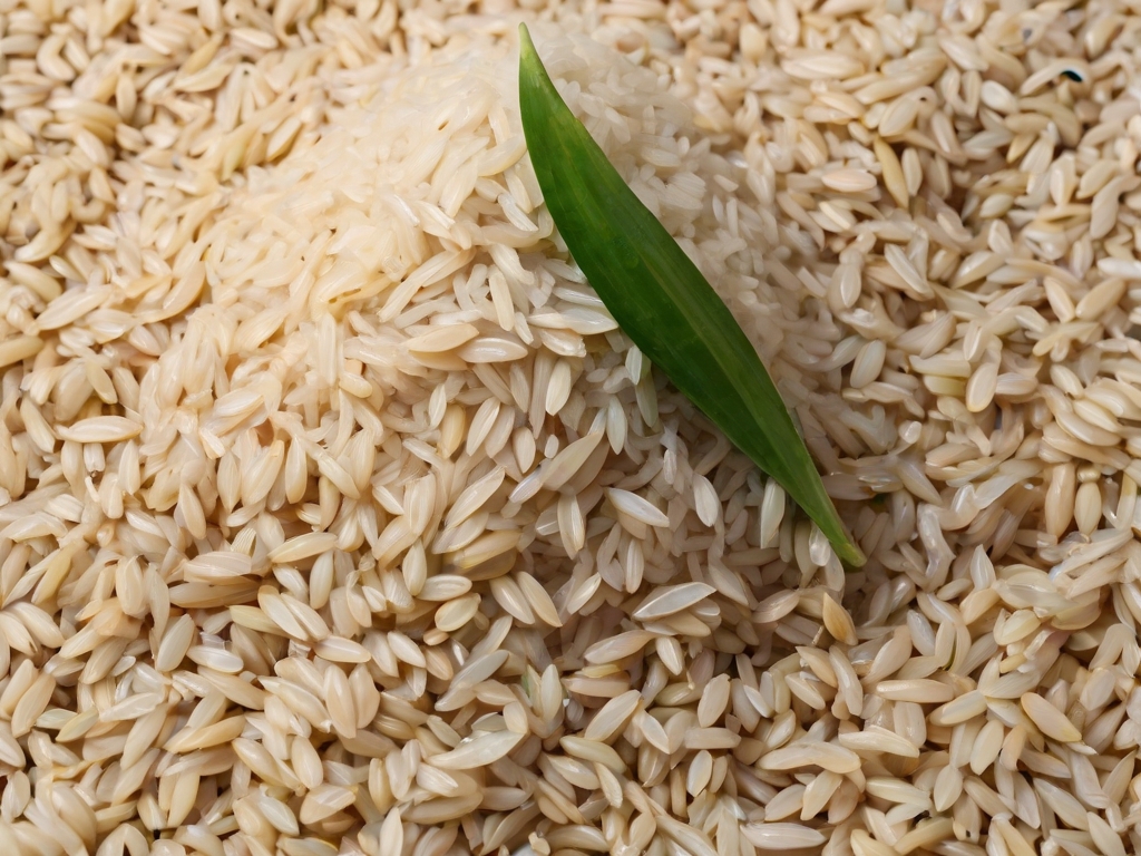 Riz-Céréales, valeurs nutritionnelles